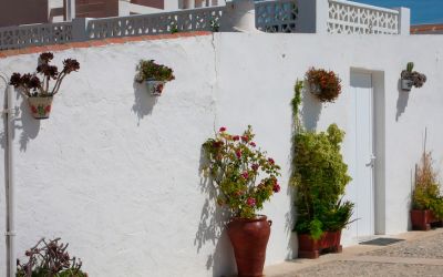 Los Mejores Hoteles en Tabarca: Encuentra Tu Estancia Ideal