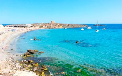 Las Mejores Playas de Tabarca: Un Paraíso en el Mediterráneo