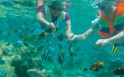 Explora las Actividades Acuáticas en Tabarca: Diversión y Aventura en el Mar