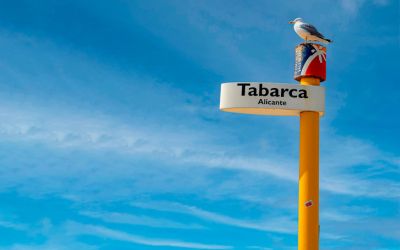 Razones para Visitar Tabarca: Un Tesoro en el Mediterráneo